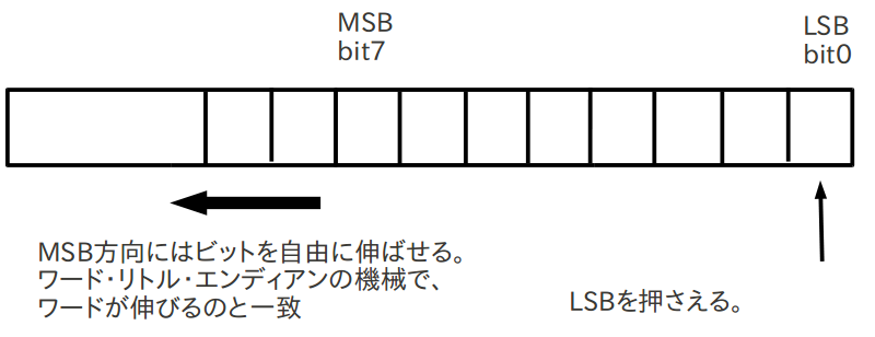 エンディアン ビック